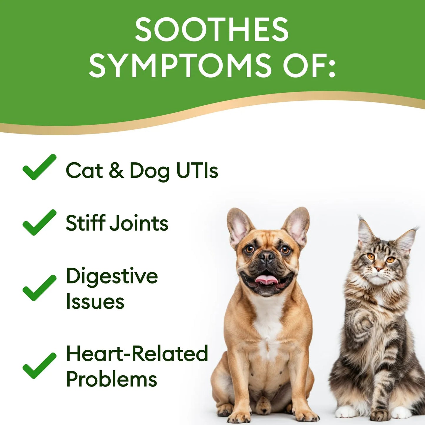 Vitaminas Líquidas 10 En 1 Para Gatos Y Perros Multivitamínico Con Glucosamina Y Vitaminas C D3 B12