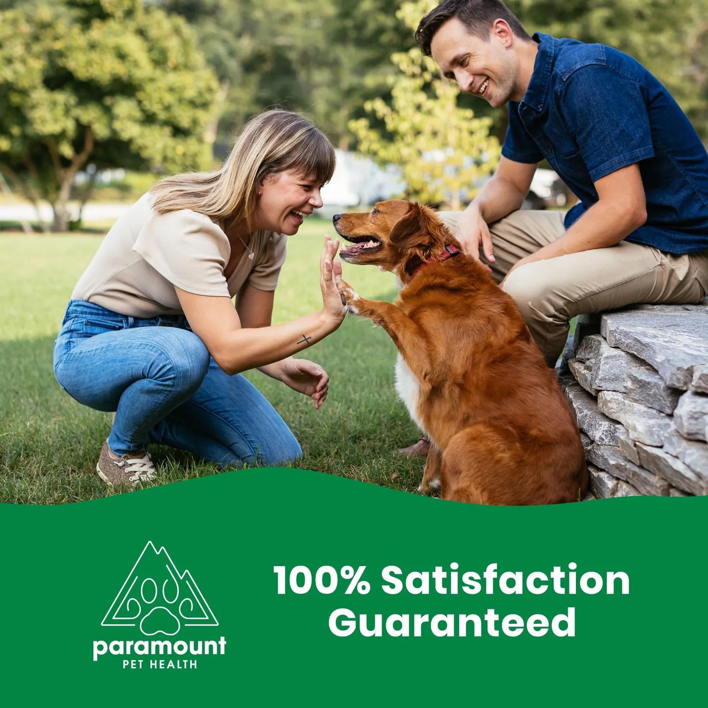 Glucosamina Líquida Vegetal Para Perros 1600 Mg Mejora Movilidad Y Confort Articular