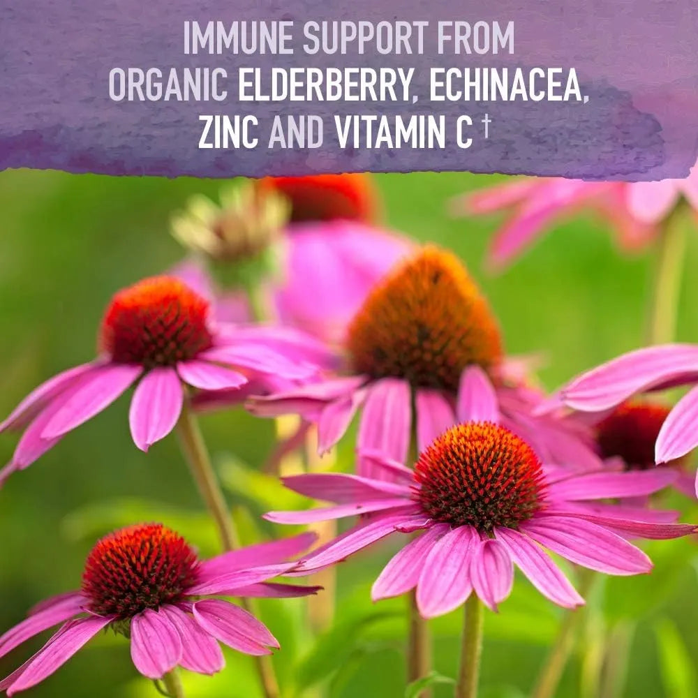 Jarabe Inmunologico De Sauco Organico Con Equinacea Zinc Y Vitamina C 195ml