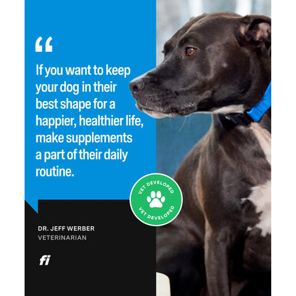 Suplemento En Polvo Para Piel Y Pelaje De Perro Con Omega 3 Biotina Y Zinc