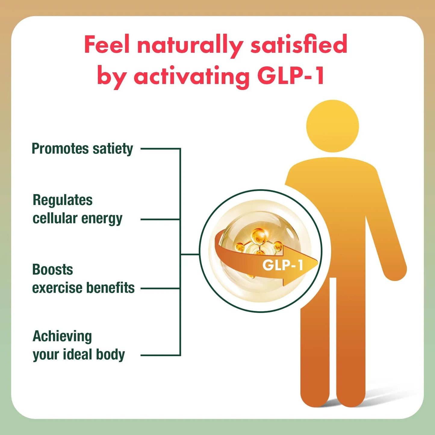 Berberina Liposomal HCL 1500mg Activa AMPK GLP1 Alta Biodisponibilidad Suplemento Salud