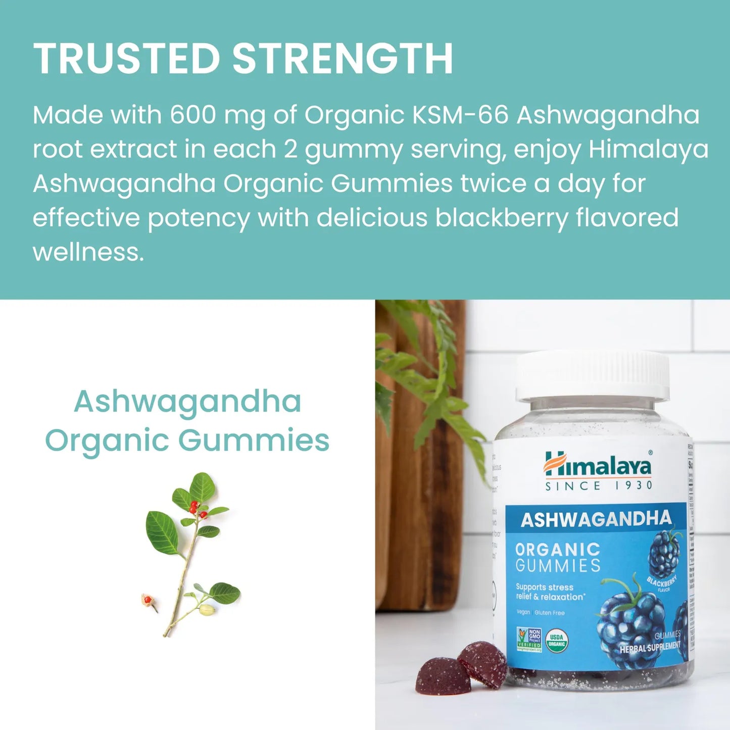 Gomitas Orgánicas KSM66 Ashwagandha Sabor Mora Alivio Estrés Energía