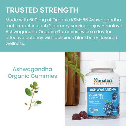 Gomitas Orgánicas KSM66 Ashwagandha Sabor Mora Alivio Estrés Energía