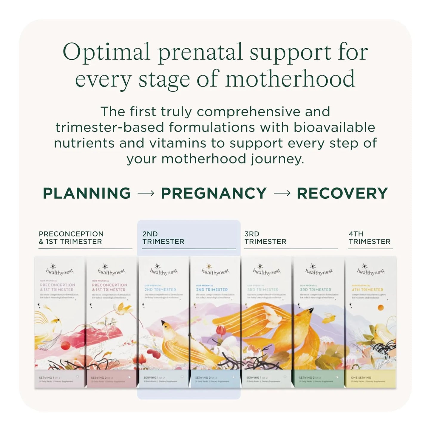 Vitamina Prenatal Segundo Trimestre HealthyNest Desarrollo Cerebral Fetal