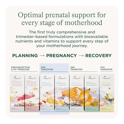 Vitamina Prenatal Segundo Trimestre HealthyNest Desarrollo Cerebral Fetal