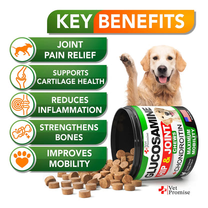 Suplemento Articular Glucosamina Condroitina MSM Para Perros 120 Masticables