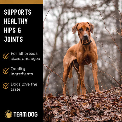 Masticables Para Perros De Cadera Y Articulaciones Con MSM Glucosamina Y Condroitina Sabor Pollo
