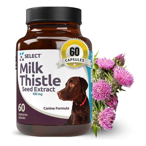 Cardo Mariano Para Perros 100 Mg 60 Cápsulas Salud Hepática Canina
