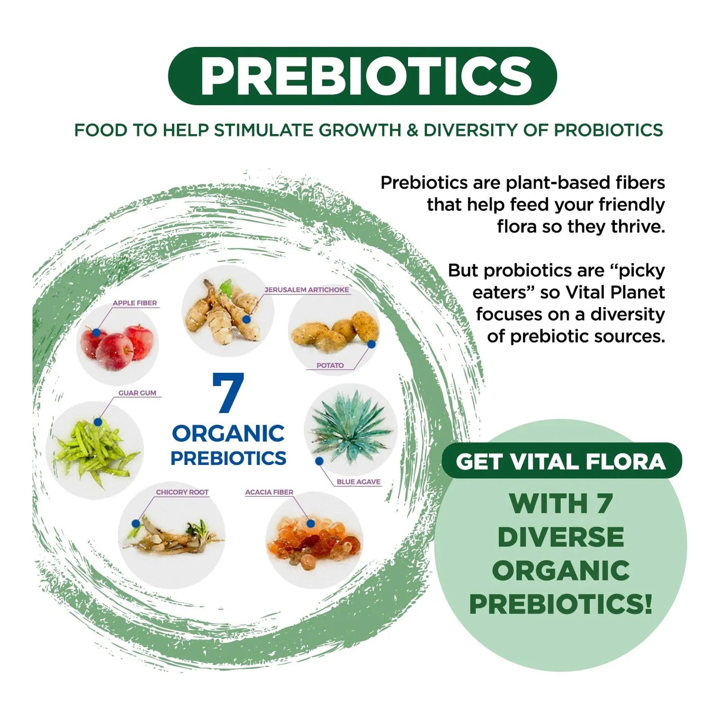 Vital Flora Probiótico Diario Adultos 55+ 60 Mil Millones UFC 60 Cepas Prebióticos