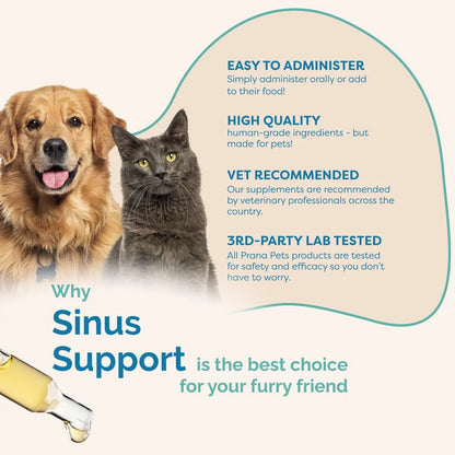 Suplemento Líquido Para Congestión Nasal En Mascotas Alivio Natural Y Seguro