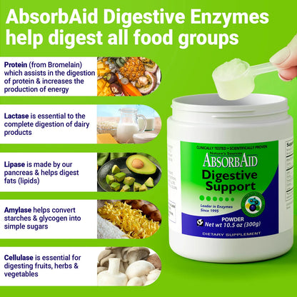 Enzimas Digestivas 300 Gramos Aumenta Absorcion Nutrientes Hasta 71