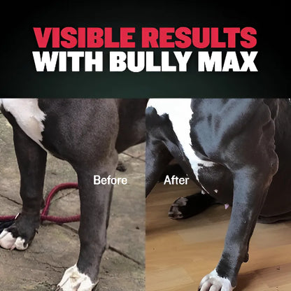 Bully Max Suplemento Canino 60 Tabletas Aumenta Masa Muscular Y Energía