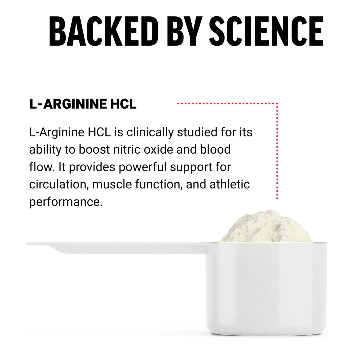 L Arginina HCL En Polvo 6000 Mg Mejora Circulación Y Bomba Muscular