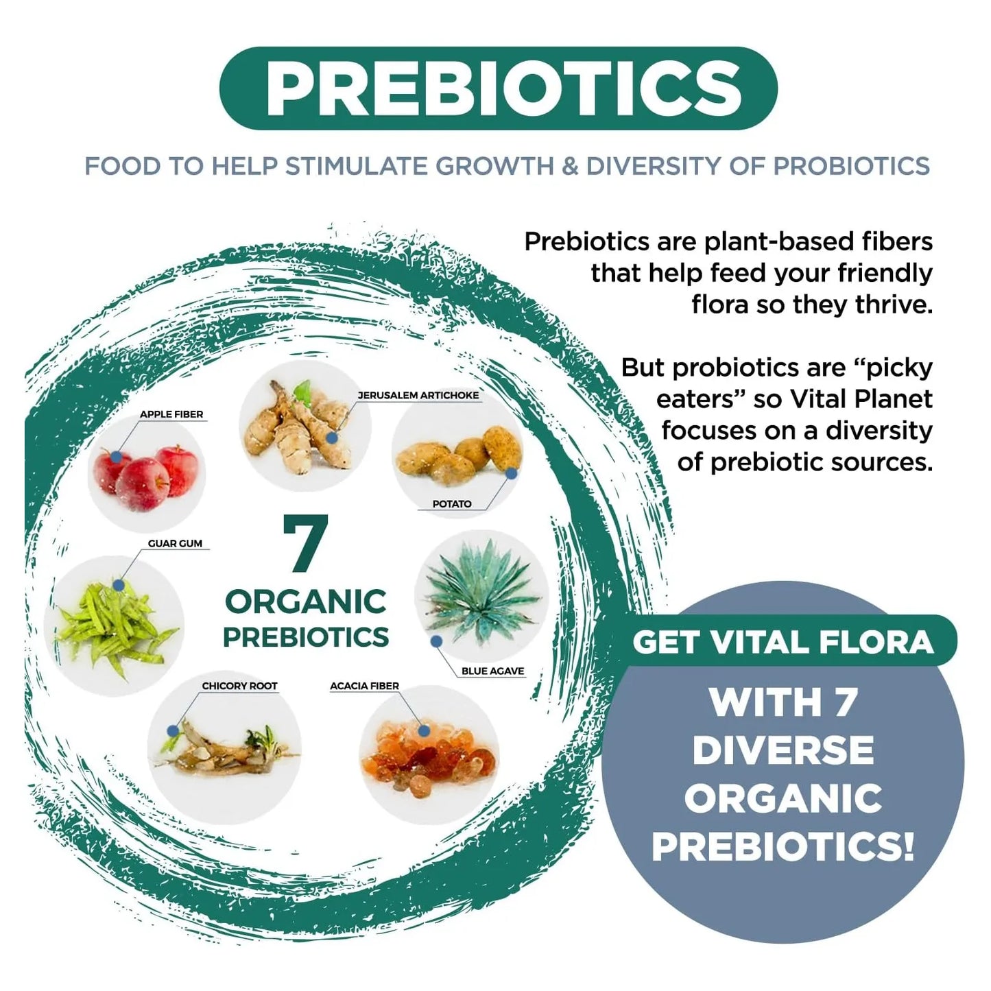 Probiótico Vital Flora Men 55+ 60 Mil Millones UFC Apoyo Digestivo E Inmunológico