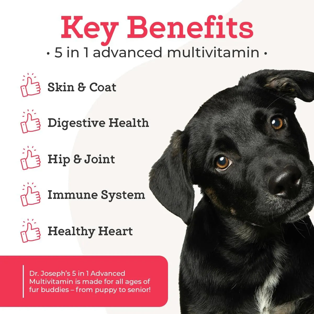 Masticables Multivitamínicos 5 En 1 Para Perros Con Glucosamina Y Probióticos