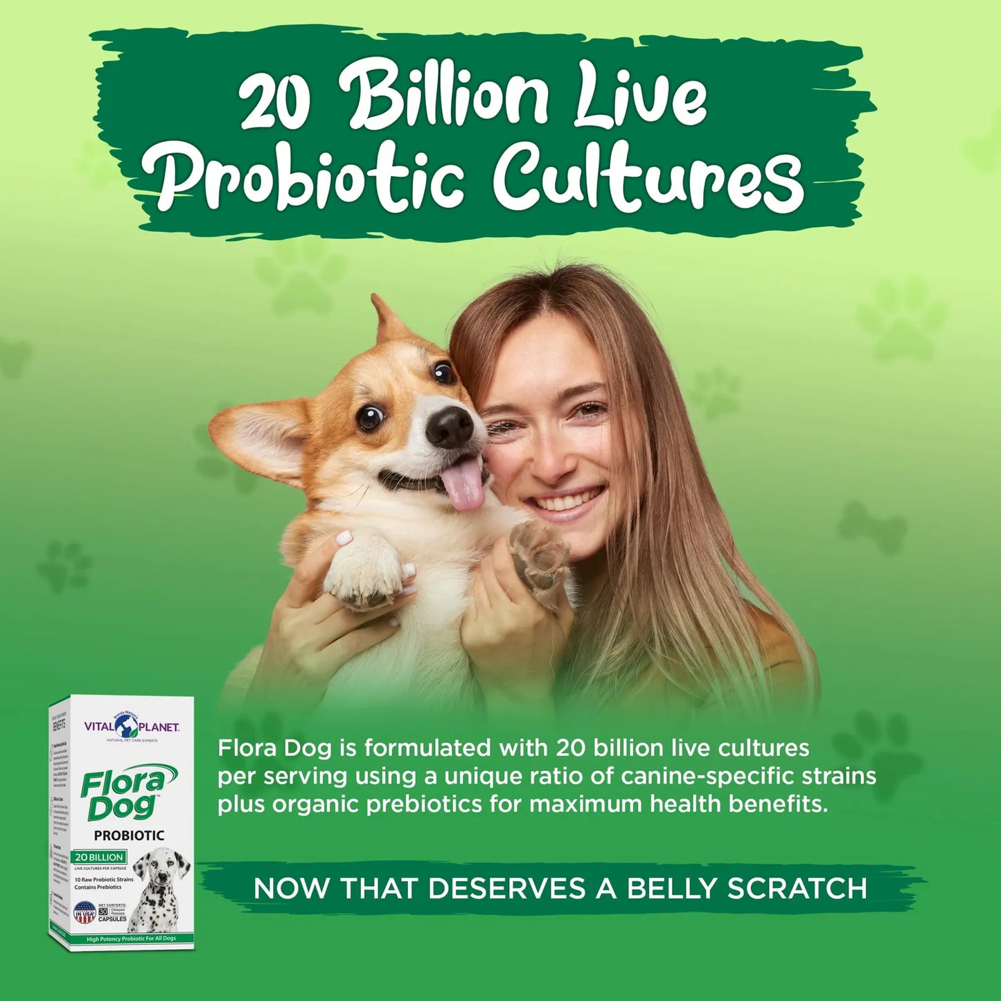 Cápsulas Probióticas Flora Dog 20 Mil Millones Cultivos 10 Cepas Para Perros
