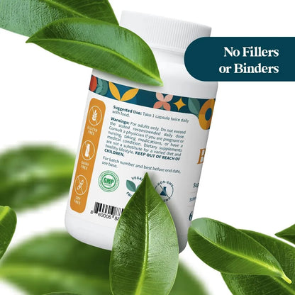 Suplemento De Berberina Con Canela De Ceilán Orgánico Antioxidante Y Metabólico Pattern Wellness 60 Cápsulas Veganas