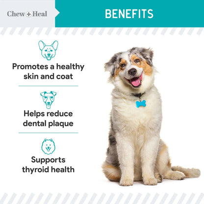 Polvo De Algas Marinas Para Perros 450g Suplemento Natural Para Piel Tiroides Y Dientes