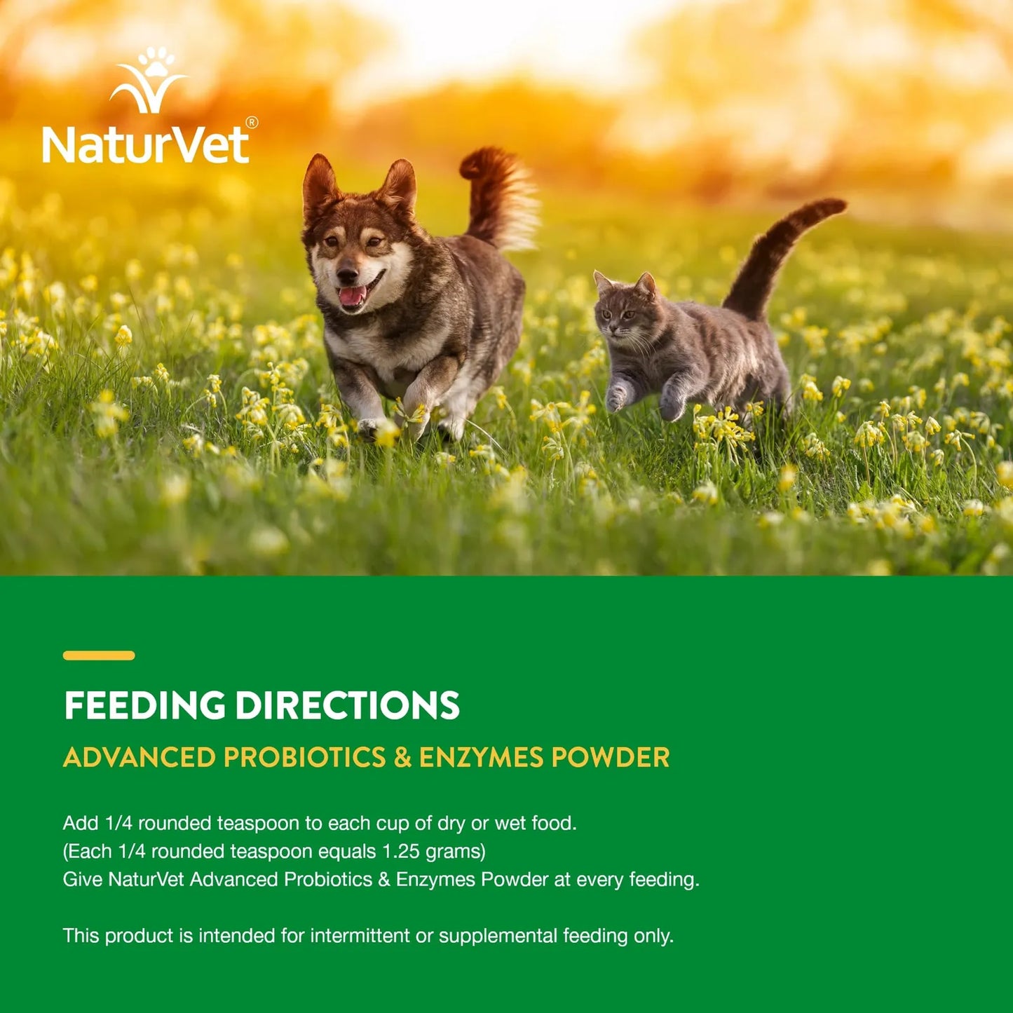 Probióticos Avanzados Enzimáticos Para Perros Y Gatos 4 Oz Salud Digestiva