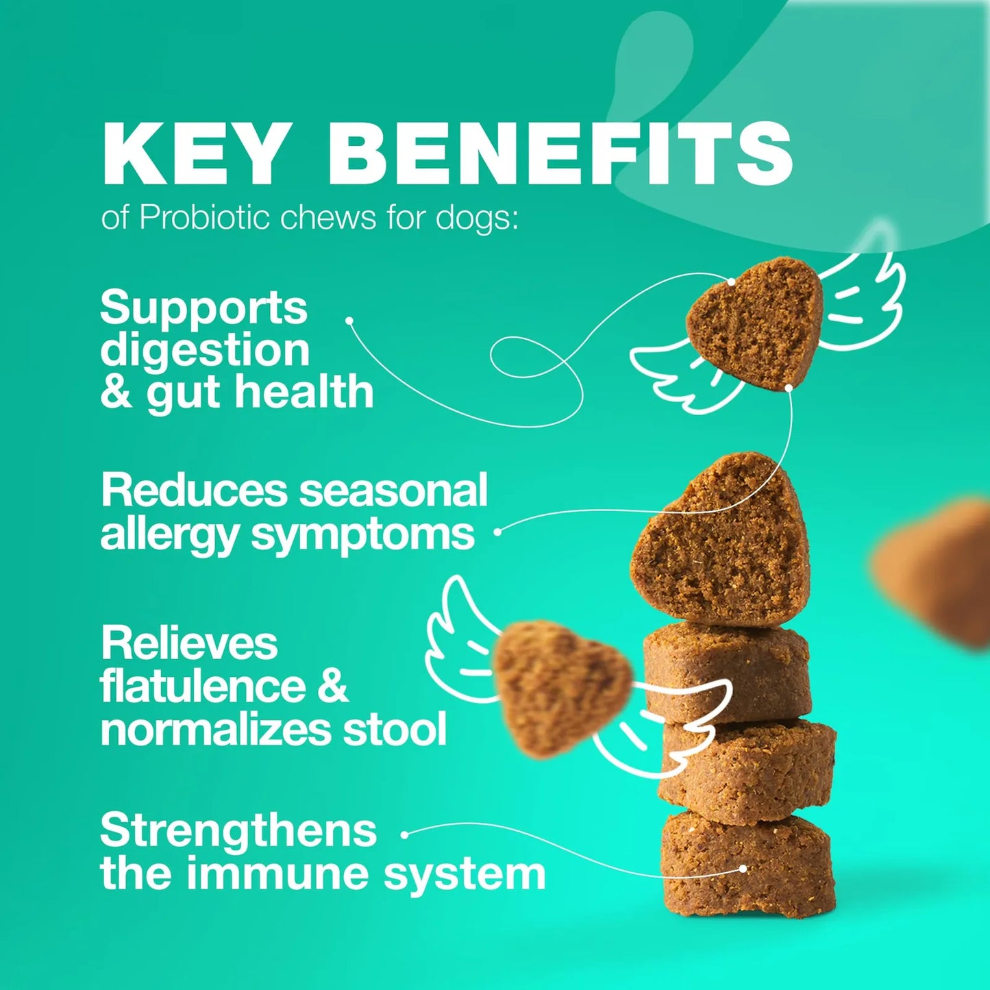 Masticables Probióticos Para Perros Salud Intestinal Digesti Importaciones Gold