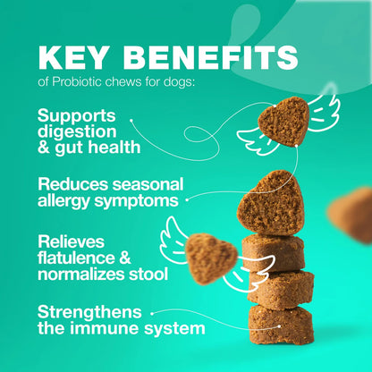 Masticables Probióticos Para Perros Salud Intestinal Digesti Importaciones Gold