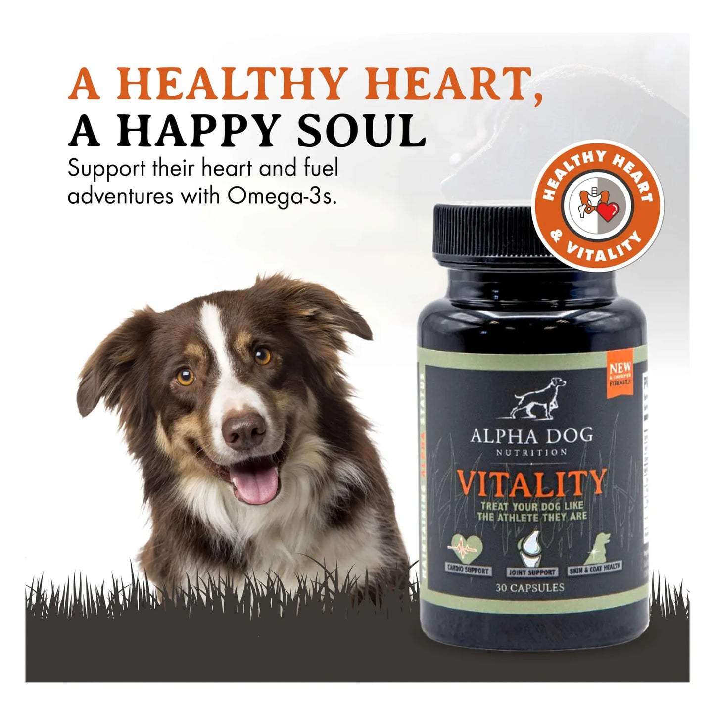 Aceite De Krill Para Perros Vitality By Reduce Alergias Picazon Y Cuida Articulaciones