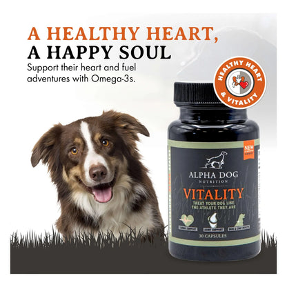 Aceite De Krill Para Perros Vitality By Reduce Alergias Picazon Y Cuida Articulaciones