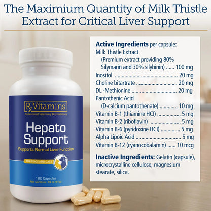 Suplemento Hepato Support Para Perros Y Gatos Con Cardo Mariano Y Vitaminas B