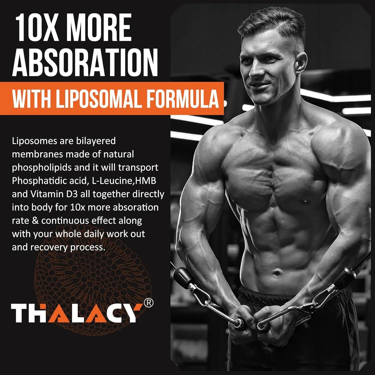 Acido Fosfatidico Liposomal 2000 Mg Thalacy Ganancia Muscular Alta Absorcion