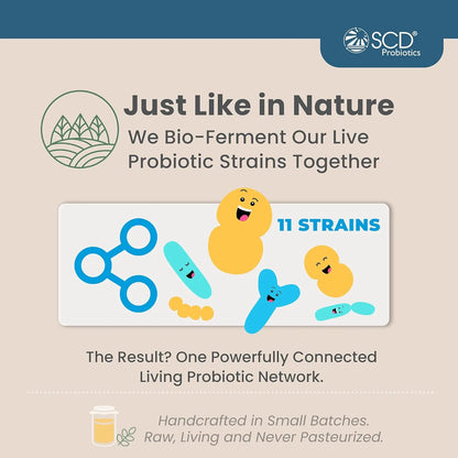 Probióticos Vitales 11 Cepas Salud Intestinal Familiar Sin Refrigerar