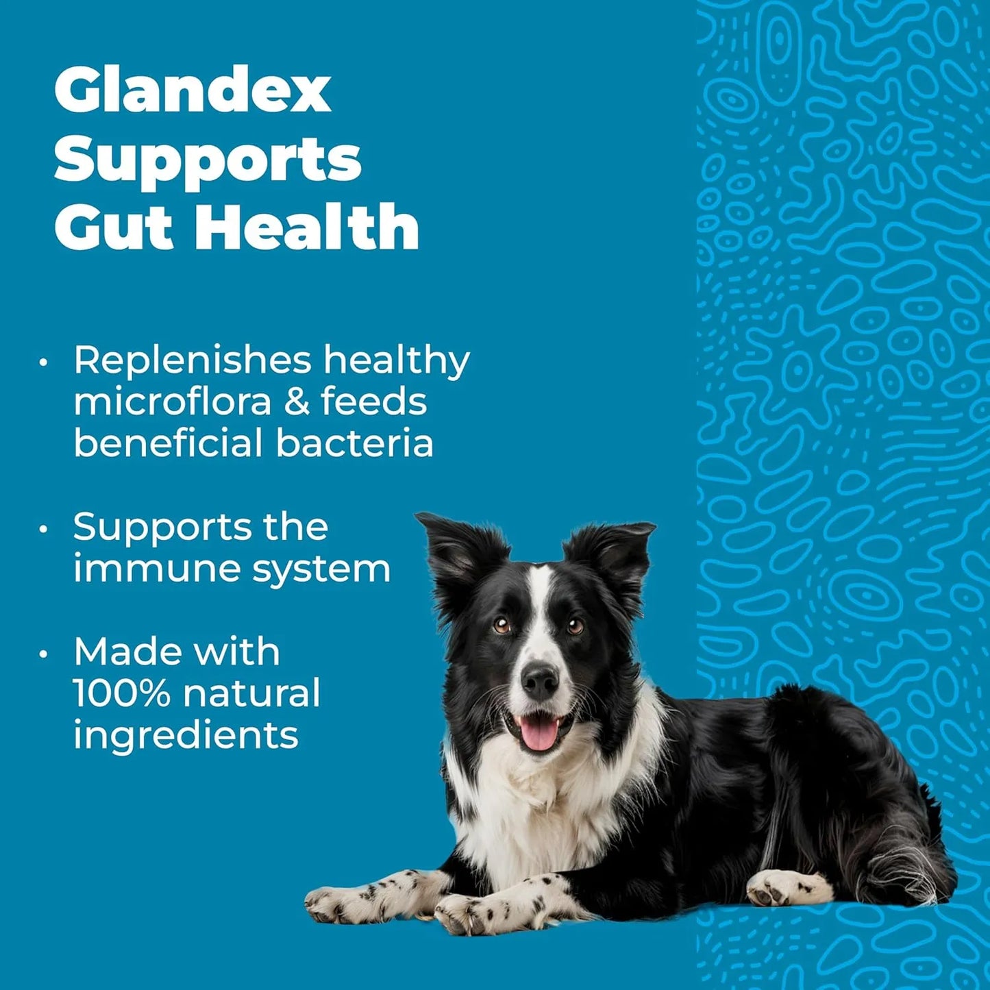 Probióticos Masticables Para Perros Vetnique Glandex Sabor Tocino Salud Intestinal