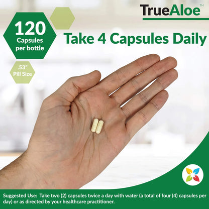 Cápsulas De Aloe Vera Orgánico True Aloe 80000 Mg 360 Unidades Soporte Digestivo Piel Y Articulaciones