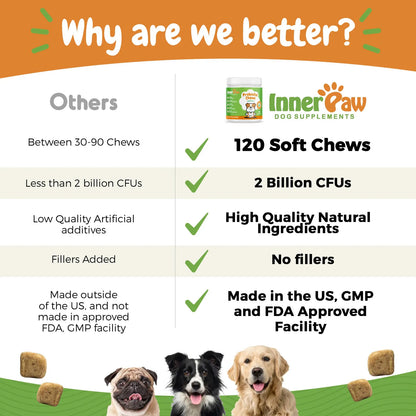 Probióticos Para Perros Con Enzimas Digestivas Salud Intestinal Y Soporte Inmunológico