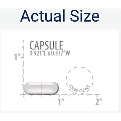 Curcumin Elite Extracto De Cúrcuma 90 Cápsulas Paquete Doble Absorción Superior