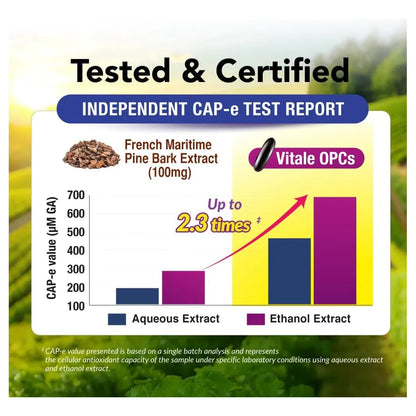 Vitale OPCs Extracto De Semilla De Uva Europea Premium Con Aronia Y Bioflavonoides Para Piel Radiante Y Protección Celular