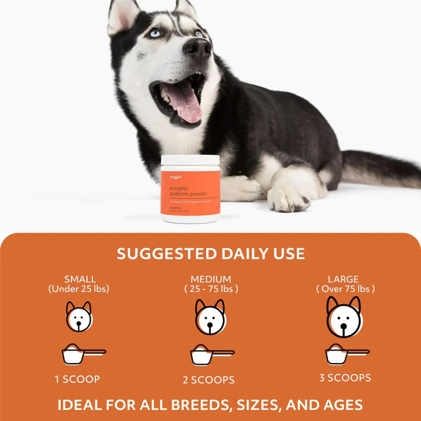Polvo Probiótico De Calabaza Para Perros Apoyo Intestinal Saludable Digestión EE UU