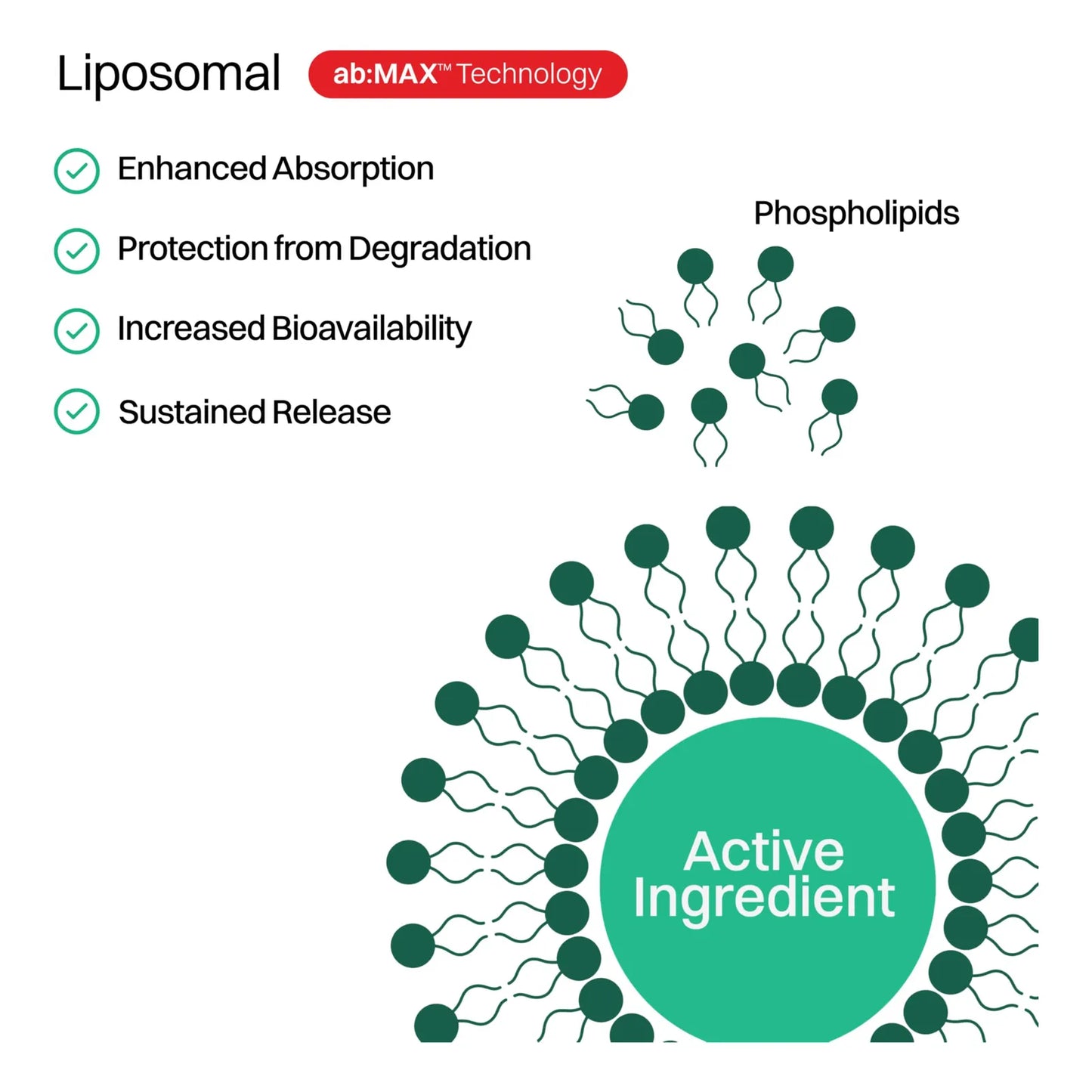 Polvo De Vitamina C Liposomal Saborizado 500 Mg Antioxidante Y Energia