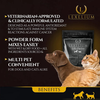 Mezcla Natural Life Optim Para Enfermedades Terminales En Perros Y Gatos 100 Efectiva