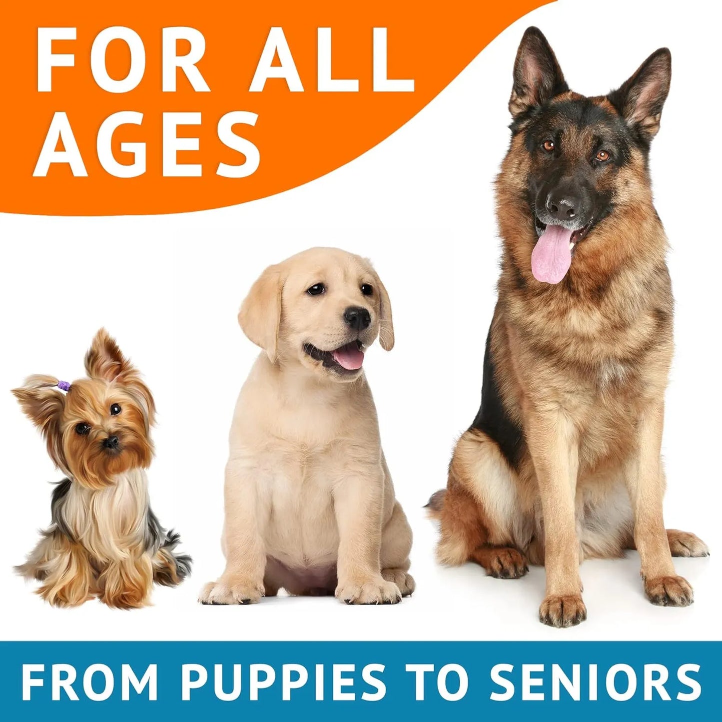 Golosinas Omega 3 Para Perros 360 Unidades Alivia Piel Seca Y Alergias