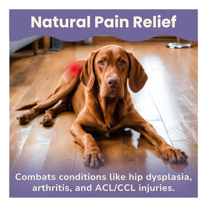 Alivio Natural Para Perros Mezcla Hierbas Organicas Artritis Dolores Articulares