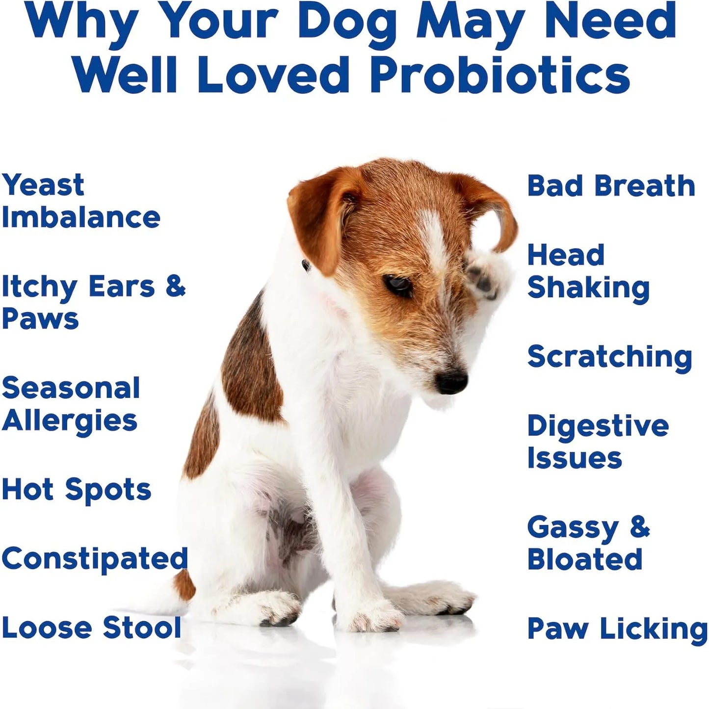 Masticables Probióticos Y Enzimas Digestivas Para Perros Salud Intestinal