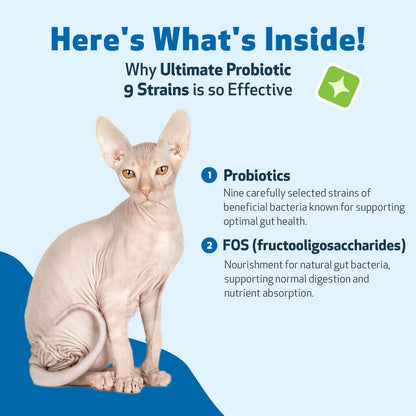 Probióticos Avanzados Para Gatos 9 Cepas Con Prebióticos Salud Intestinal E Inmunidad