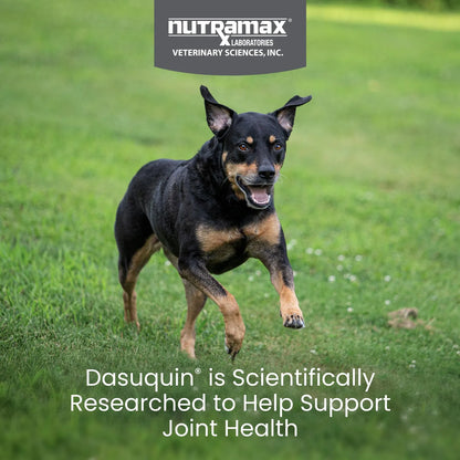 Dasuquin Para Perros Pequeños y Medianos 84 Tabletas Salud Articular