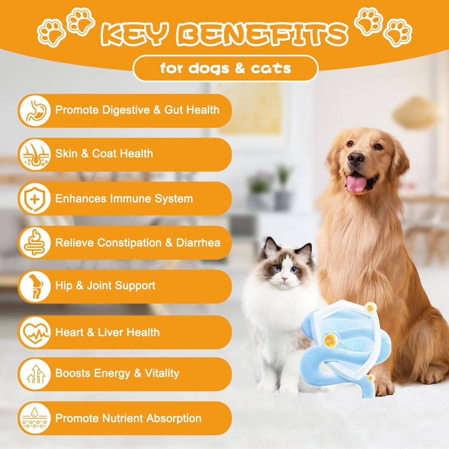 Probióticos Para Perros Con Prebióticos Enzimas Digestivas Y Calabaza Salud Intestinal Y Pelaje Brillante