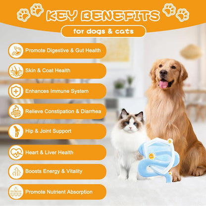 Probióticos Para Perros Con Prebióticos Enzimas Digestivas Y Calabaza Salud Intestinal Y Pelaje Brillante