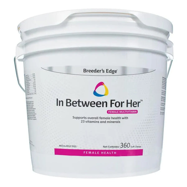 Multivitaminico Femenino Perro Mediano Grande 360 Tabletas Salud Pelaje Huesos