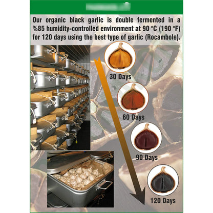 Ajo Negro Envejecido Organico Capsulas Blandas Biodisponible 240 Unidades