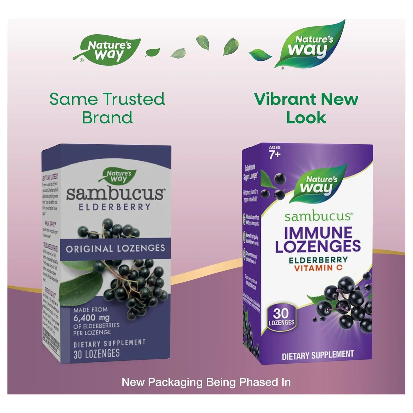 Nature's Way Sambucus Saúco Con Vitamina C 30 Pastillas Apoyo Inmunológico