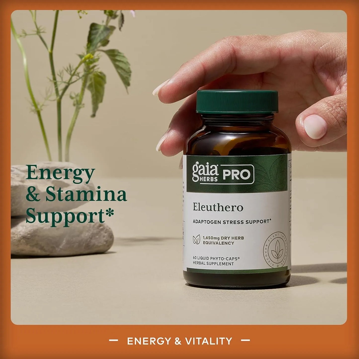 Cápsulas De Raíz De Eleuterococo Gaia Herbs PRO Energía Natural Y Resistencia Al Estrés 60 Fito Cápsulas