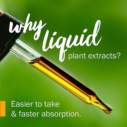 Extracto Liquido Organico De Clavo 120ml Certificado Absorcion Rapida Sin Gluten Ni Omg